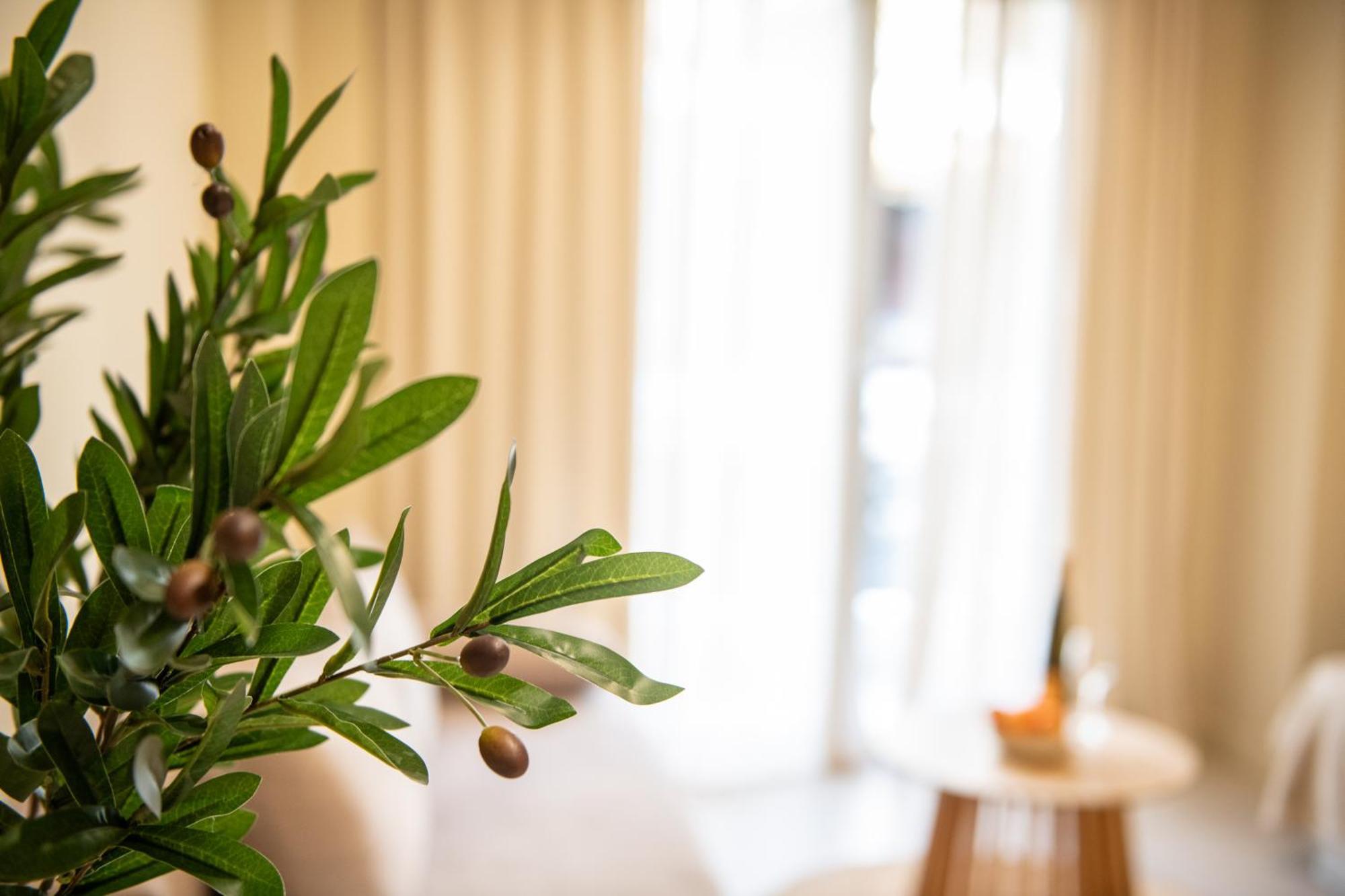 Apartment Avm - Thissio Center